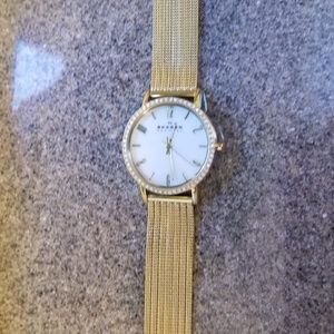 Skagen Denmark Watch